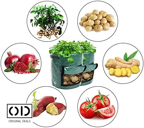 legume pe balcon Sac pentru plantat legume si fructe legume si fructe plantat acasa pe balcon Sac pentru legume si fructe pe balcon acasa Saculet cu pamant pentru plantat legume si fructe acasa Legume si fructe Bio [2]
