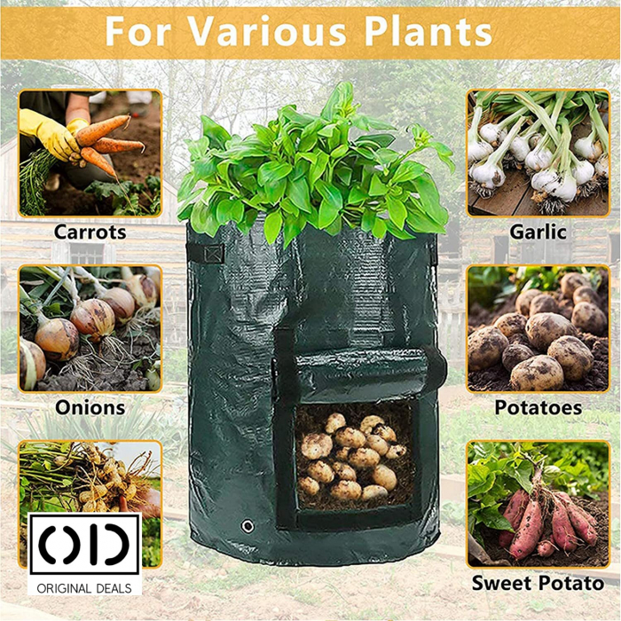 legume pe balcon Sac pentru plantat legume si fructe legume si fructe plantat acasa pe balcon Sac pentru legume si fructe pe balcon acasa Saculet cu pamant pentru plantat legume si fructe acasa Legume si fructe Bio [24]