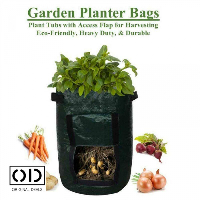 legume pe balcon Sac pentru plantat legume si fructe legume si fructe plantat acasa pe balcon Sac pentru legume si fructe pe balcon acasa Saculet cu pamant pentru plantat legume si fructe acasa Legume si fructe Bio [7]