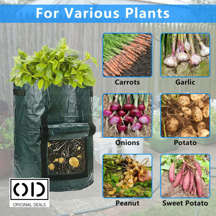 legume pe balcon Sac pentru plantat legume si fructe legume si fructe plantat acasa pe balcon Sac pentru legume si fructe pe balcon acasa Saculet cu pamant pentru plantat legume si fructe acasa Legume si fructe Bio [3]