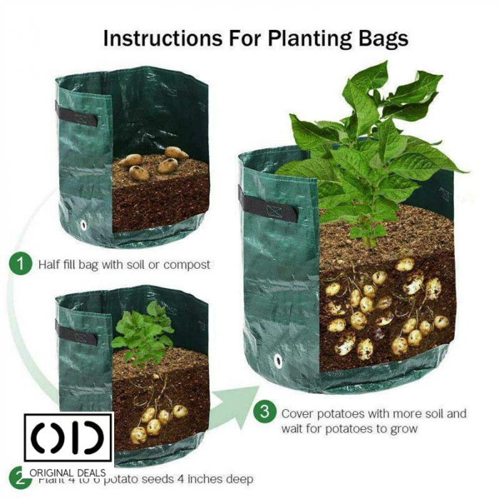 legume pe balcon Sac pentru plantat legume si fructe legume si fructe plantat acasa pe balcon Sac pentru legume si fructe pe balcon acasa Saculet cu pamant pentru plantat legume si fructe acasa Legume si fructe Bio [16]