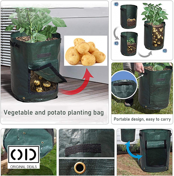 legume pe balcon Sac pentru plantat legume si fructe legume si fructe plantat acasa pe balcon Sac pentru legume si fructe pe balcon acasa Saculet cu pamant pentru plantat legume si fructe acasa Legume si fructe Bio [26]