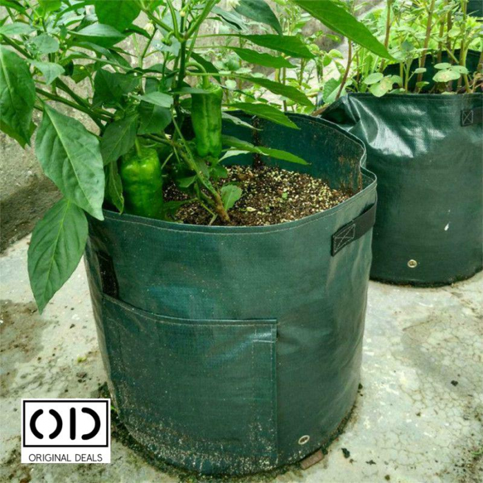 legume pe balcon Sac pentru plantat legume si fructe legume si fructe plantat acasa pe balcon Sac pentru legume si fructe pe balcon acasa Saculet cu pamant pentru plantat legume si fructe acasa Legume si fructe Bio [5]