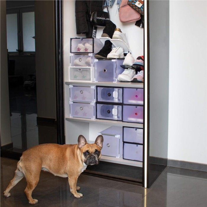 Set 10 cutii organizare pentru pantofi, 34x23x13, transparent [11]