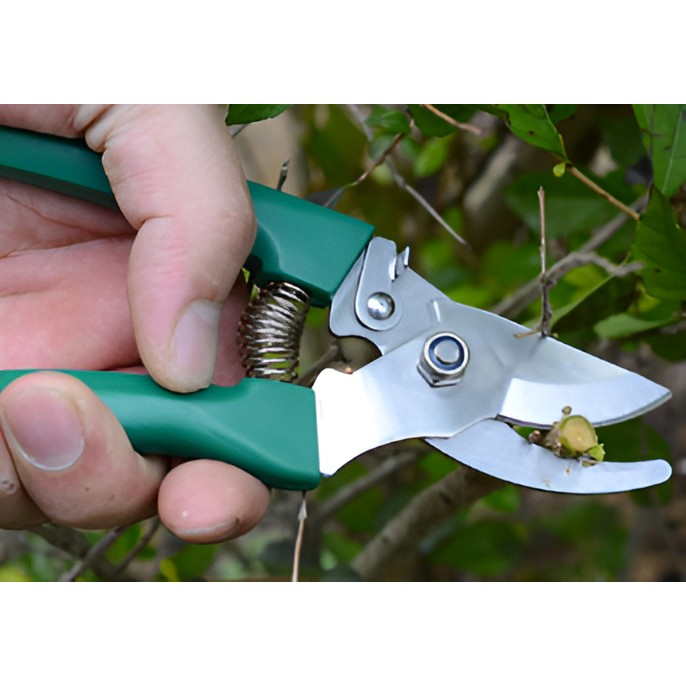 Set 12 Unelte de Gradina, , pentru Plantare Prelucrare Sol si Ingrijire Plante, Material PVC si Cardboard, Cutie Inclusa, 37x28 cm, Verde [12]