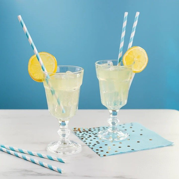 Set 25 Paie, , din Hartie, 20 cm, Model cu Dungi, Alb/Albastru [2]