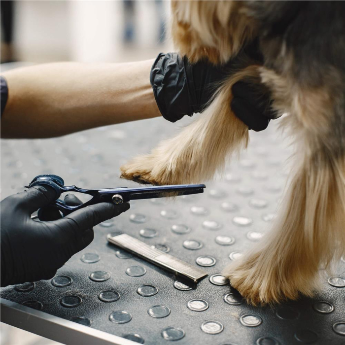 Set de ingrijire pentru animale de companie, cu 4 foarfece pentru tuns si accesorii [9]