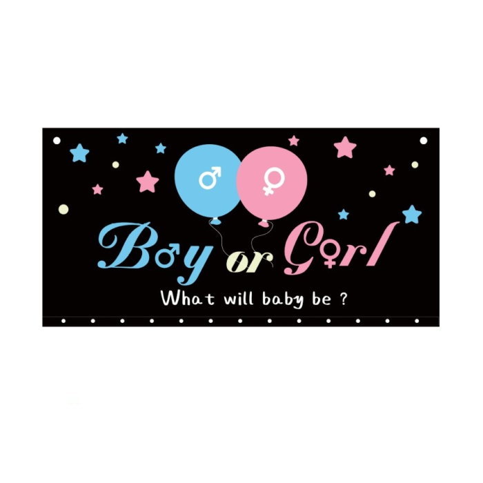 Set Gender Reveal, , Balloon Drop Bag, din Plastic si Latex, 24 Baloane Roz si Albastru 13 cm, Sac pentru Baloane 60 x 120 cm, Multicolor [5]