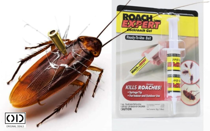 solutie insecticid gandaci bucatarie original deals gel insecticid profesional gandaci 30g insecticid non toxic oameni animale de companie seringa gel anti gandaci efect rapid solutie eliminare gandaci bucatarie cu efect lung gel insecticid cu seringa pentru gandaci insecticid profesional impotriva gandacilor de bucatarie tratament rapid si eficient anti gandaci insecticid fara miros pentru spatii interioare gel insecticid original deals pentru colonii gandaci [8]