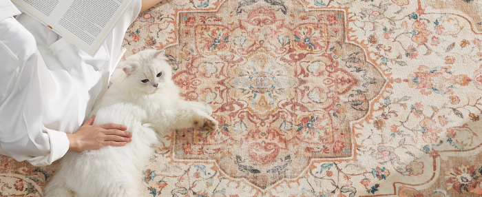 SONGMICS Covor decorativ antiderapant, stil vintage, lavabil la masina, 120×170 cm, bej cappuccino [7]