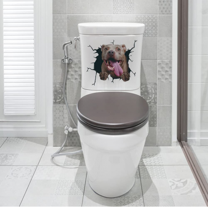 pit bull terrier american olx pitbull terrier olx pitbull terrier pitbull terrier de vanzare american bully xxl olx pui pitbull olx pitbull wikipedia pitbull de vanzare [3]