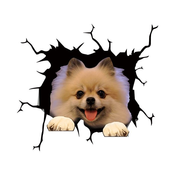 Sticker Decorativ Pomeranian