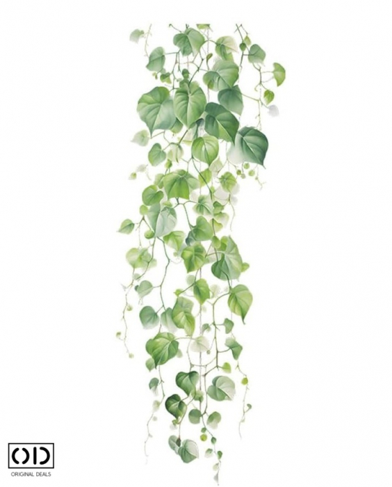 Sticker Decorativ pentru Perete, Mobila, sau Fereastra, Model Iedera Planta Cataratoare, Autocolant din Vinil PVC Autoadeziv [6]