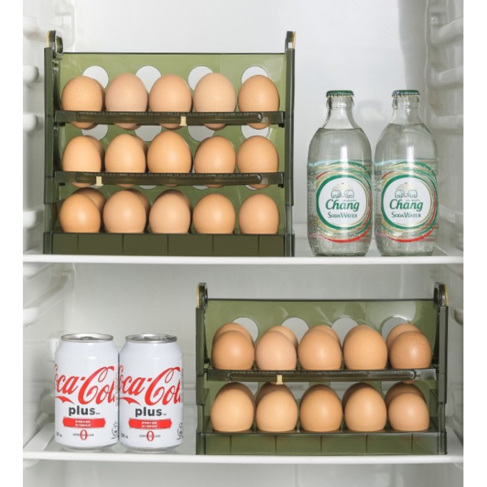 Suport Organizator pentru Oua, , pentru Frigider, Verde transparent, Capacitate 20 oua, Doua straturi, cu Data de Expirare, 25.5x10x17 cm [4]