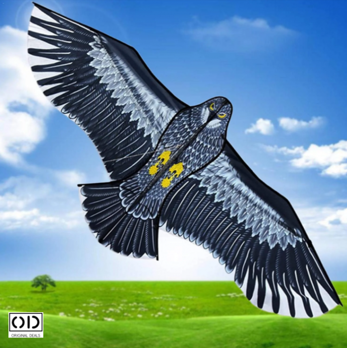 * zmeu zburator copii * zmeu curcubeu * zmeu aripi 120 cm * zmeu PVC textil * zmeu cu ata inclusa  ---  ### [1]