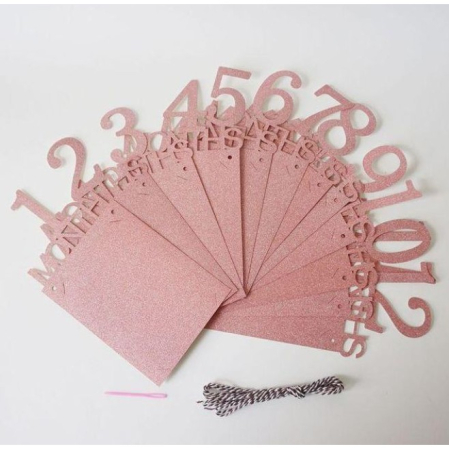 Banner pentru Poze, , 15.2x10.2 cm, Tema Prima Aniversare, Model Primele 12 Luni, Rola Ata Inclusa, Roz [6]