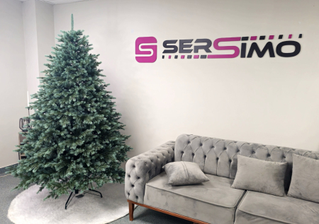 Brad artificial Christmas Deluxe by Sersimo, Alaska Select verde argintiu, integral 3D, 230 cm [13]