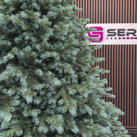 Brad artificial Christmas Deluxe by Sersimo, Alaska Select verde argintiu, integral 3D, 250 cm [9]