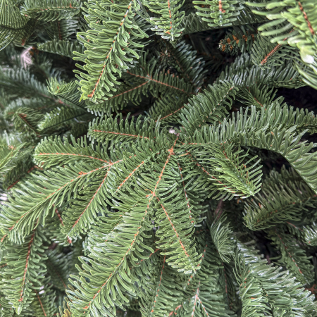 Brad artificial Christmas Deluxe by Sersimo, Alaska, verde, mix 2D+3D, 250 cm [8]