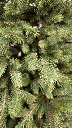 Brad artificial Christmas Deluxe by Sersimo, Alpin Select, integral 3D, 180cm [10]