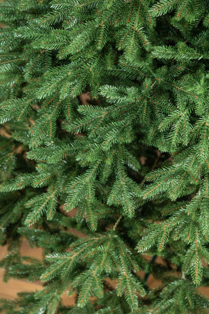 Brad artificial Christmas Deluxe by Sersimo, Alpin Select, integral 3D, 210cm [24]