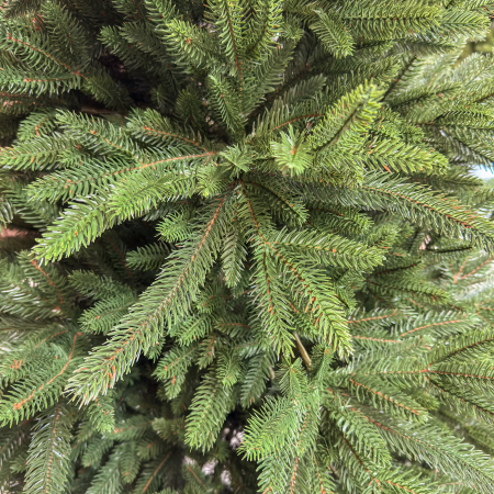 Brad artificial Christmas Deluxe by Sersimo, Alpine, verde, integral 3D, 210 cm [9]