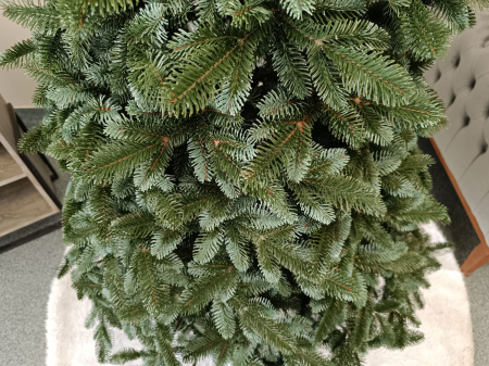 Brad artificial Christmas Deluxe by Sersimo, Canada argintiu, 3D,180cm [11]