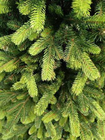 Brad artificial Christmas Deluxe by Sersimo, Carpati cu varfuri verzi, 2D+3D, 210cm [9]