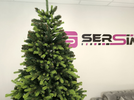 Brad artificial Christmas Deluxe by Sersimo, Carpati cu varfuri verzi, 2D+3D, 250cm [13]