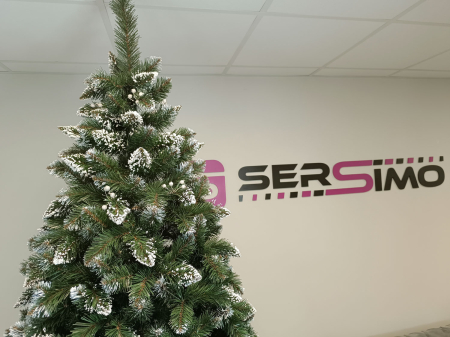 Brad artificial Christmas Deluxe by Sersimo, Crystal nins cu merisoare, 2D, 250cm [15]