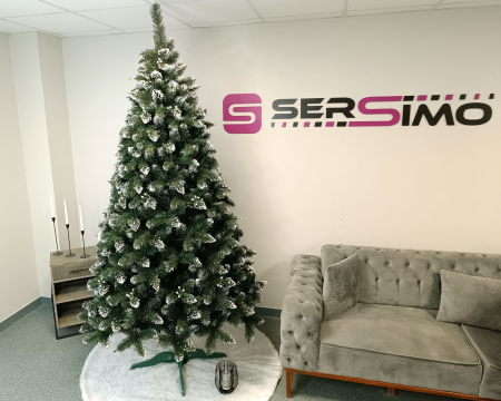 Brad artificial Christmas Deluxe by Sersimo, Crystal nins cu merisoare, 2D, 250cm [18]