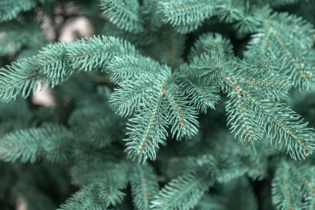 Brad artificial Christmas Deluxe by Sersimo, Kovalivka Select argintiu, integral 3D, 210 cm [23]