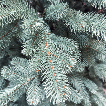 Brad artificial Christmas Deluxe by Sersimo, Kovalivka Select argintiu, integral 3D, 210 cm [9]