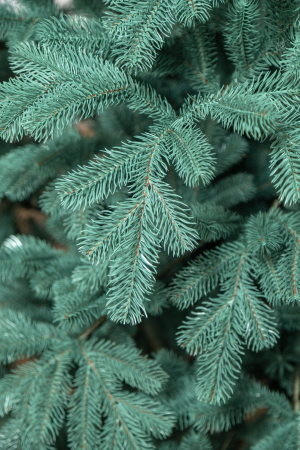 Brad artificial Christmas Deluxe by Sersimo, Kovalivka Select argintiu, integral 3D, 210 cm [22]