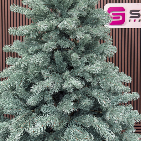 Brad artificial Christmas Deluxe by Sersimo, Kovalivka Select argintiu, integral 3D, 210 cm [1]