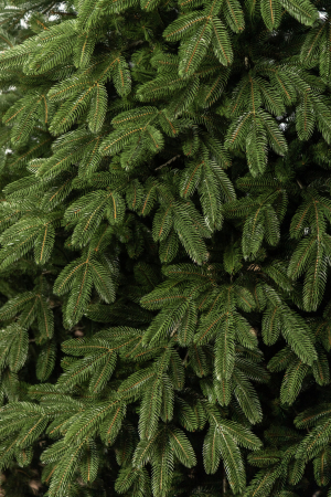 Brad artificial Christmas Deluxe by Sersimo, Laponia Select, integral 3D, 230cm [19]