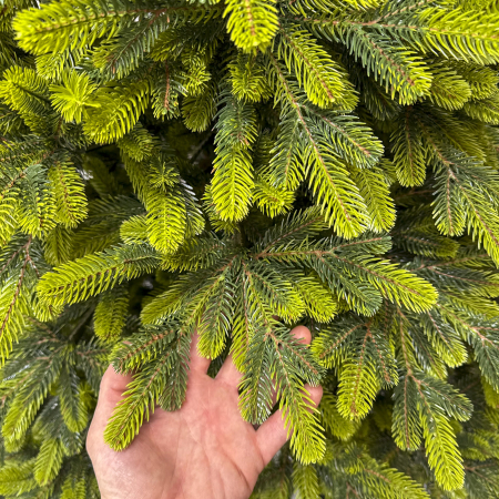 Brad artificial Christmas Deluxe by Sersimo, Polar Spring Select, integral 3D, 230 cm [10]