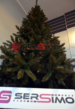 Brad artificial Christmas Deluxe by Sersimo, Royal, 220cm [4]