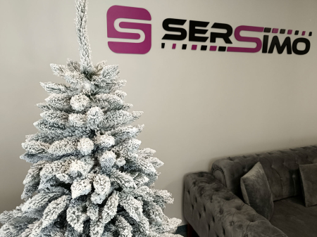 Brad artificial Christmas Deluxe by Sersimo, Victoria nins, 2D, 180cm [16]