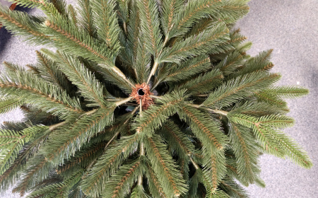 Brad artificial Christmas Deluxe by Sersimo, Victoria Special, 2D+3D, 180cm [19]