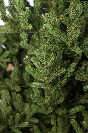 Brad artificial Christmas Deluxe by Sersimo, Viena Select, integral 3D, 230cm [6]