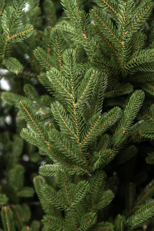 Brad artificial Christmas Deluxe by Sersimo, Viena Select, integral 3D, 230cm [8]