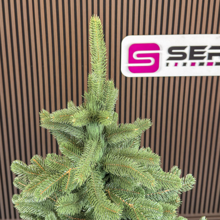 Brad artificial Christmas Deluxe by Sersimo, Viena Select, integral 3D, 250 cm [5]