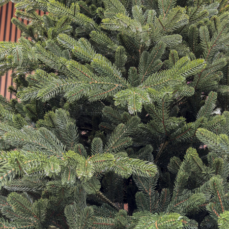 Brad artificial Christmas Deluxe by Sersimo, Viena Select, integral 3D, 250 cm [9]