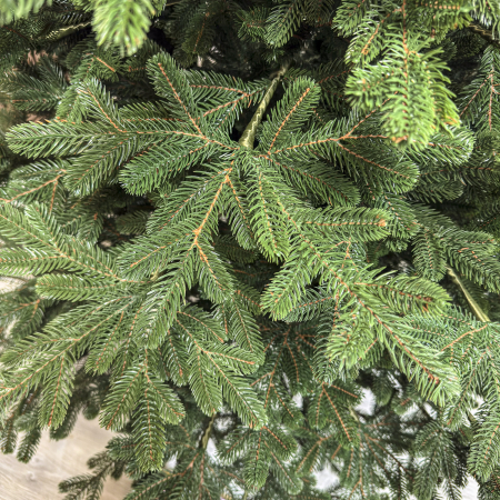 Brad artificial Christmas Deluxe by Sersimo, Viena Select, integral 3D, 250 cm [8]