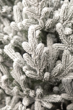 Brad artificial Christmas Deluxe by Sersimo, Viena Select nins, integral 3D, 210cm [16]