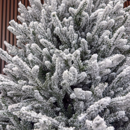 Brad artificial Sersimo, Alesea Elite, nins, integral 3D, 200 cm [17]