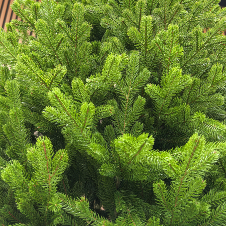 Brad artificial Sersimo, Alindra Elite, verde, integral 3D, 210 cm [4]
