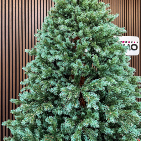 Brad artificial Sersimo, Hollandia, verde cu varfuri argintii, integral 3D, 230 cm [1]