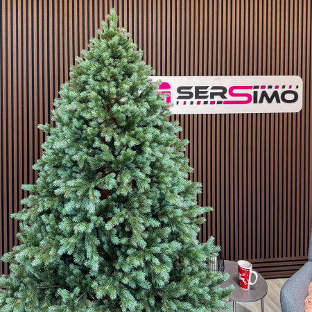Brad artificial Sersimo, Hollandia, verde cu varfuri argintii, integral 3D, 230 cm [9]